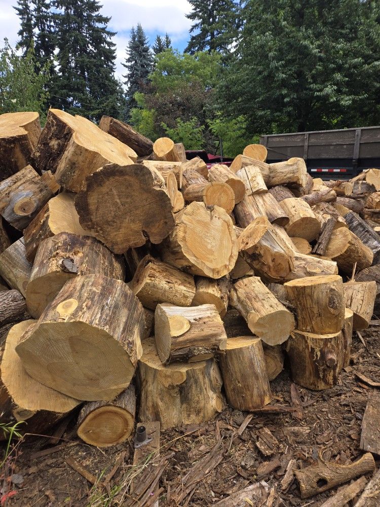 CEDAR FIREWOOD ROUNDS
