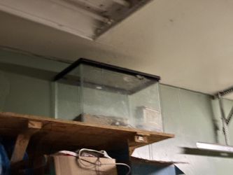 Old Lizard Tank