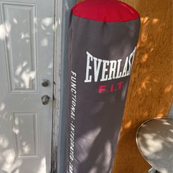 Everest Fit Punching Bag