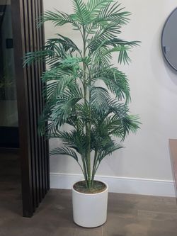 6' Faux Paradise Palm Tree In The Brown Wicker Basket Planter