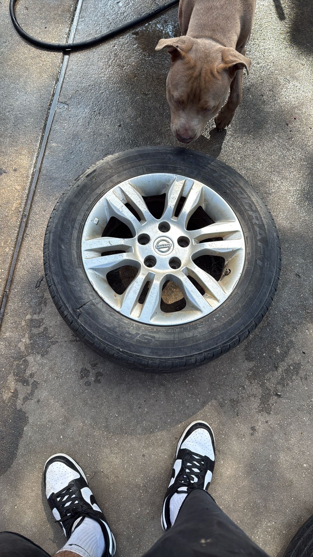 Nissan 2009 Altima Rim 