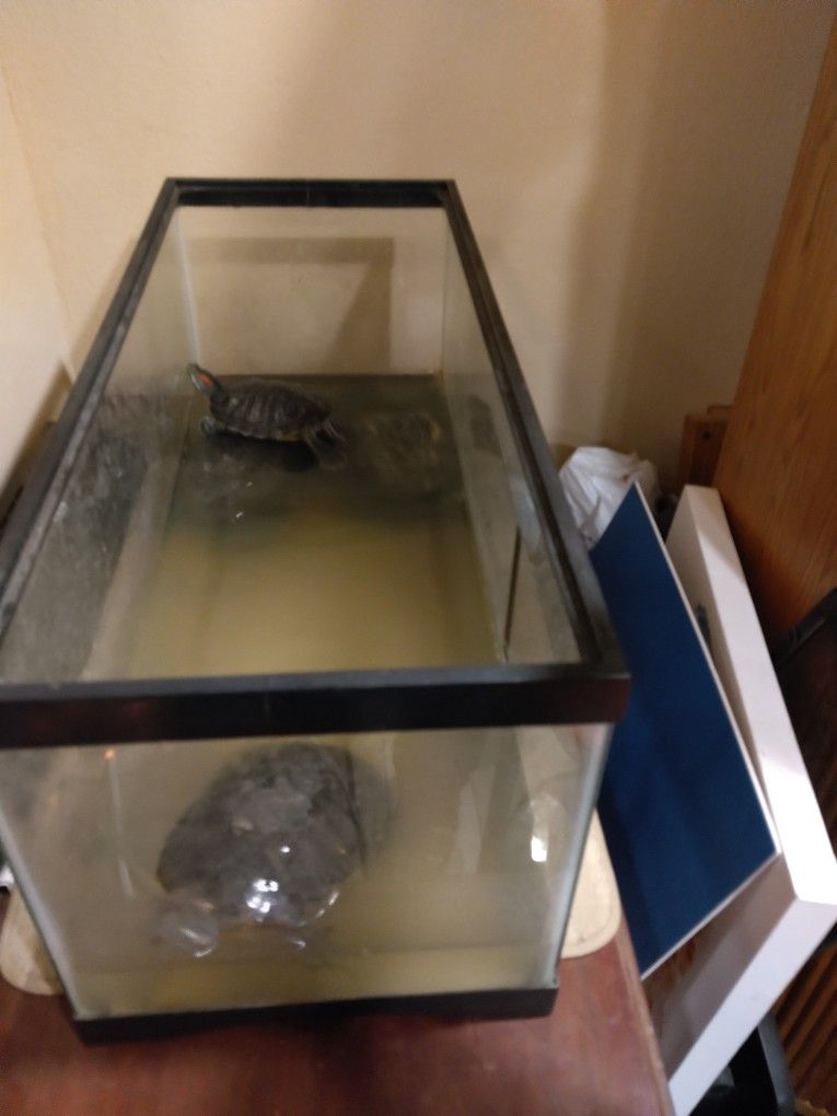 Aquarium