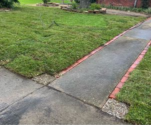 Grass for Sale