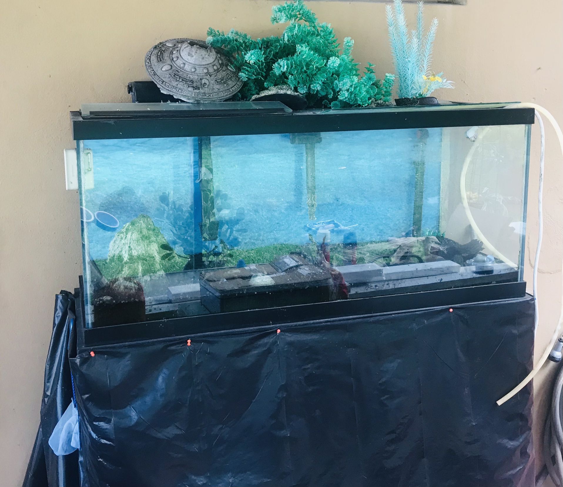 EXCELLENT  DEAL!! Fish Tank 75 Gallons -Reduce