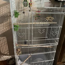 Bird Cage Like New Firm Price 