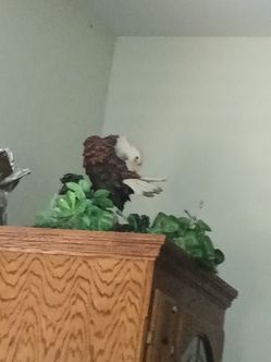 Large eagle statue perfect vintage