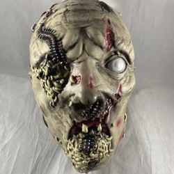 Severed Head, Maggots Bugs, Halloween Prop Decaying