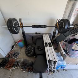 Bench With Bar And Bumper Plates