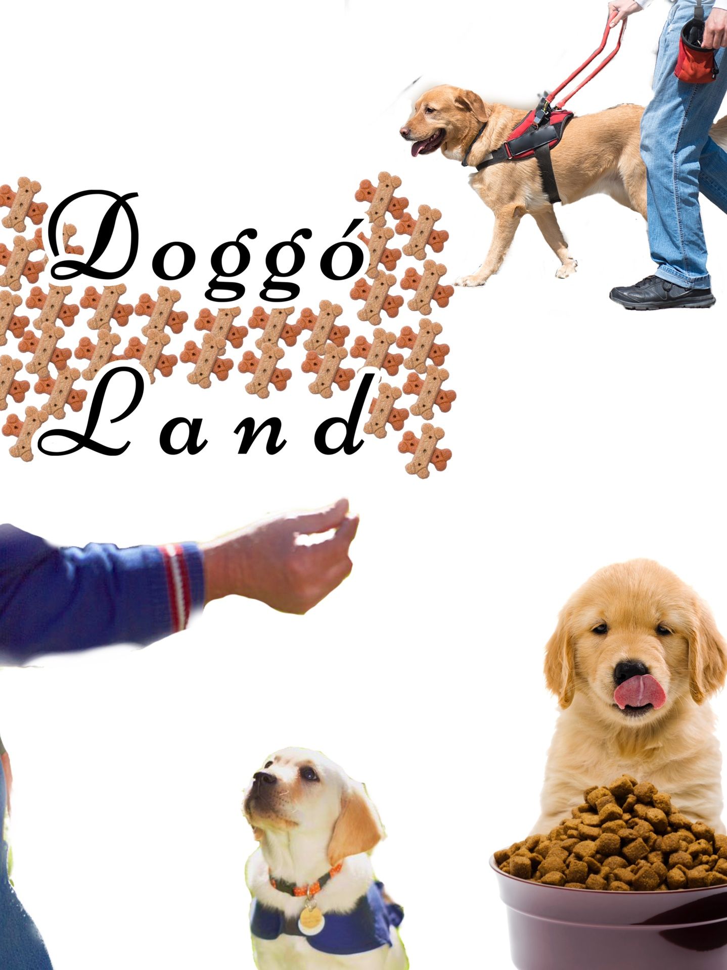 Dog Sitting/ Trainer