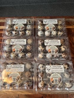 Quail eggs