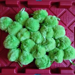 Fuzzy Green Keychain lot 
