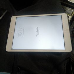 iPad Mini 