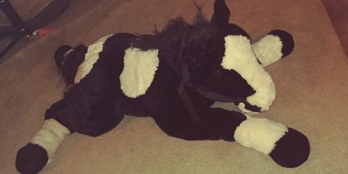 Huge plush horse $10 perfect condition
