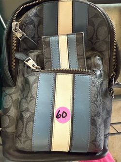 Coach bag & wallet (empire & Gary)