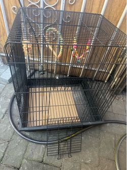 Free bird 🐦 cage