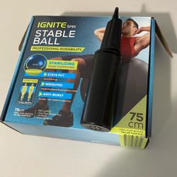Stable ball pump