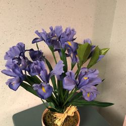 Iris Spring Faux Flowers in 6” Decorative Clay Pot