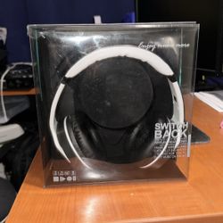 Wireless Headphones (SwitchBack Twist Out )