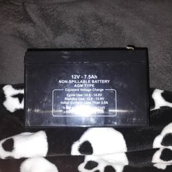 12v 7.5AH Battery AGM Type Sealed 