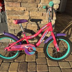SCHWINN Jasmine 16” Bike (Excellent )