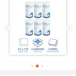 Disinfecting Wipes 