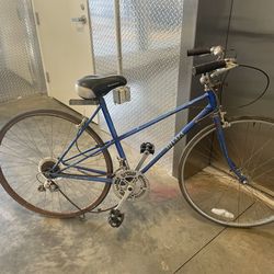 Vintage Bike ( Miyata)