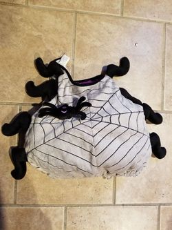 Spider costume