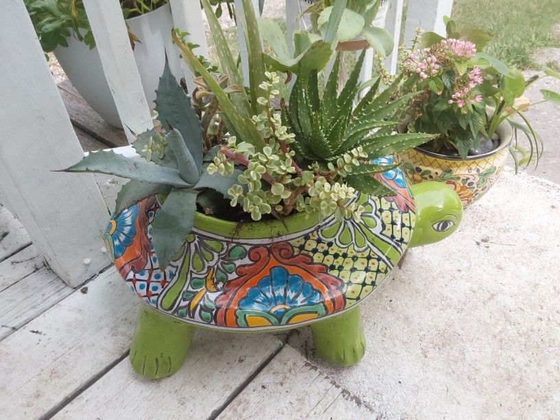 Turtle Planter