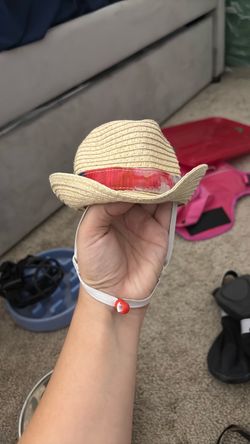 Dog hat