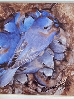 Hand-Signed Michael L. Smith "Bluebirds of a Feather" 1978