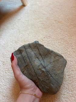 Green Natural Stonework Dark Branching Veins Sedentary Rock