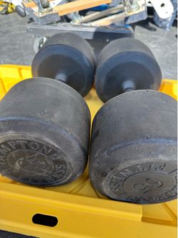 65LB HAMPTON Dumbbells