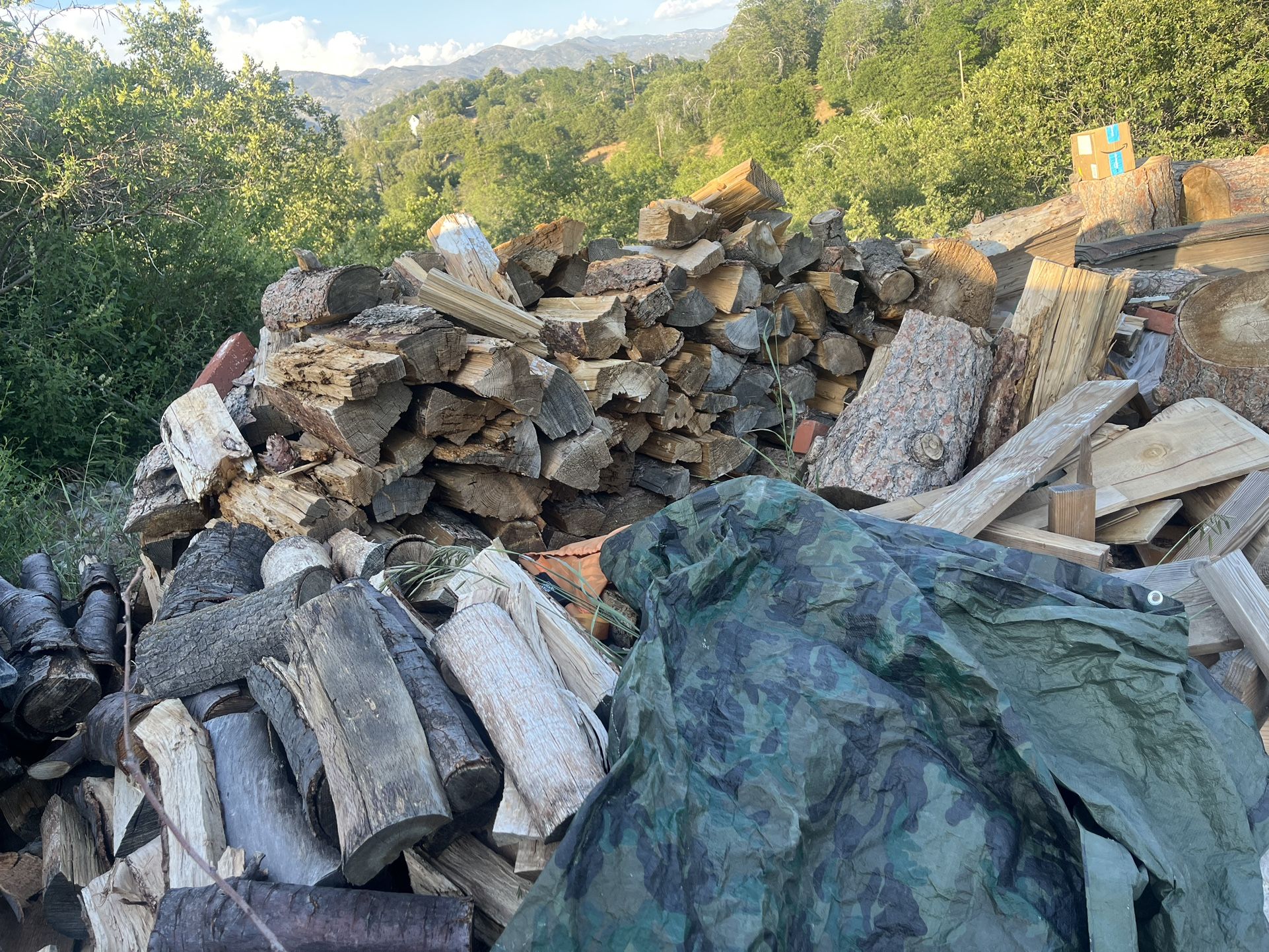 Firewood