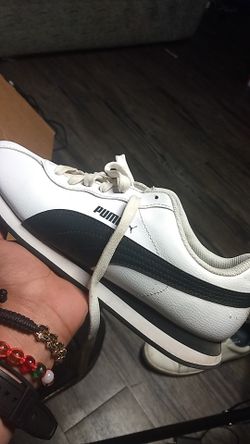 White pumas