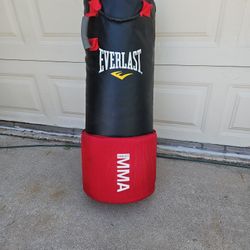Everlast MMA bag