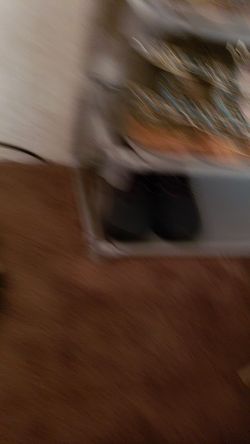 Free authentic jimmy shoes.