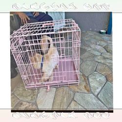 Tough Metal Dog Crates - Dependable and Secure hand PM