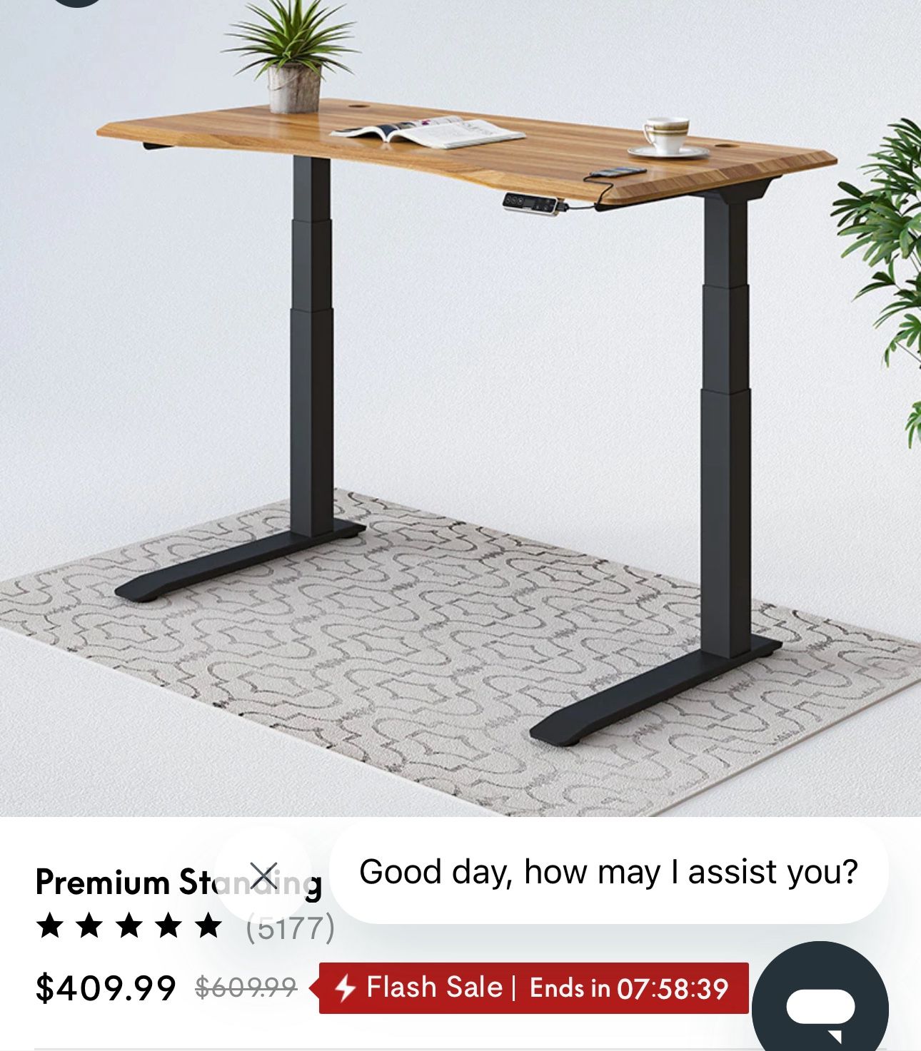 Electric Adjustable Computer Desk