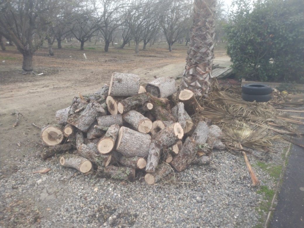 Bundles Of Oak And Almond Wood Awesome For Kendling