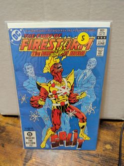 DC Comics The Fury of Firestorm #13