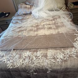 Vera Wang Cathedral Veil