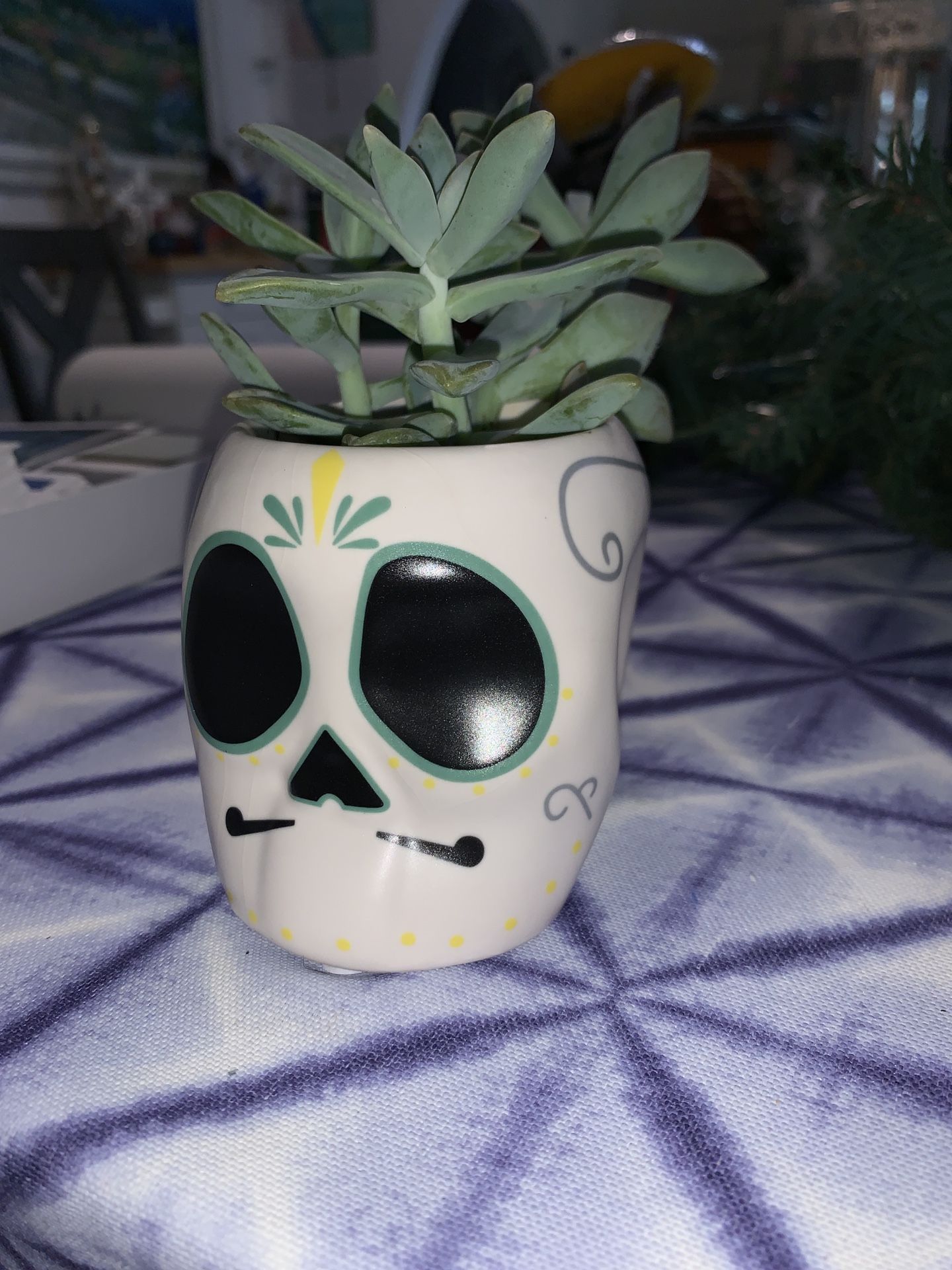 Small Ceramic Skeleton jar/plant holder with real Succulent!! Nice!