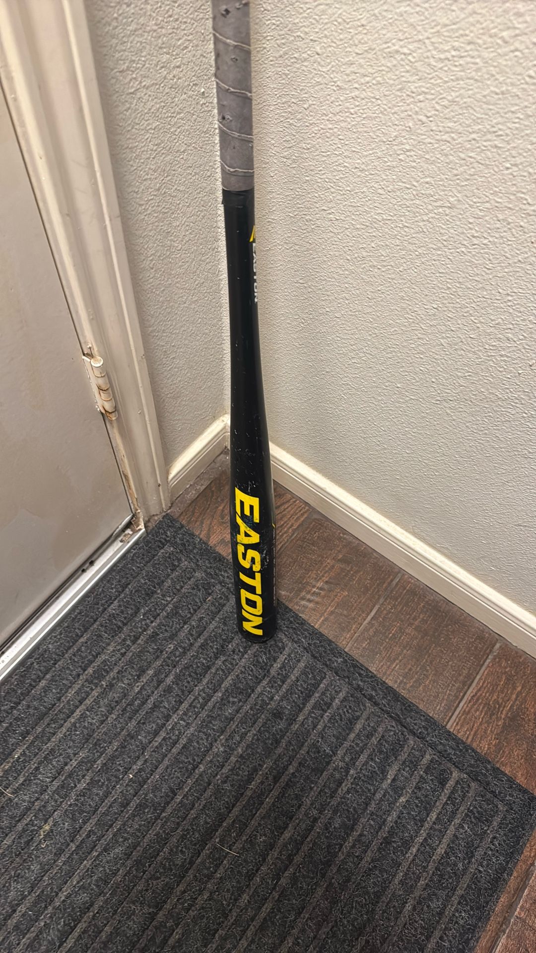 Easton Fungo Baseball Bat