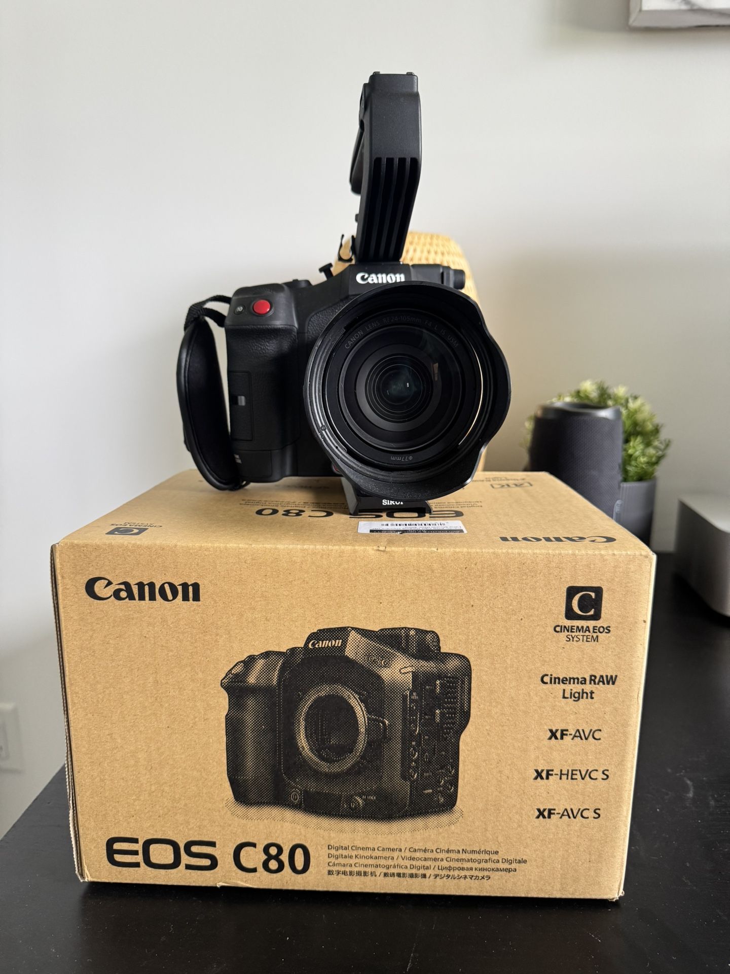 6k Canon C80 + RF 24-105mm F4