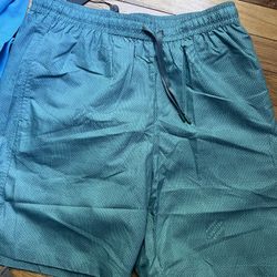 Louis Vuitton Trunks (M)