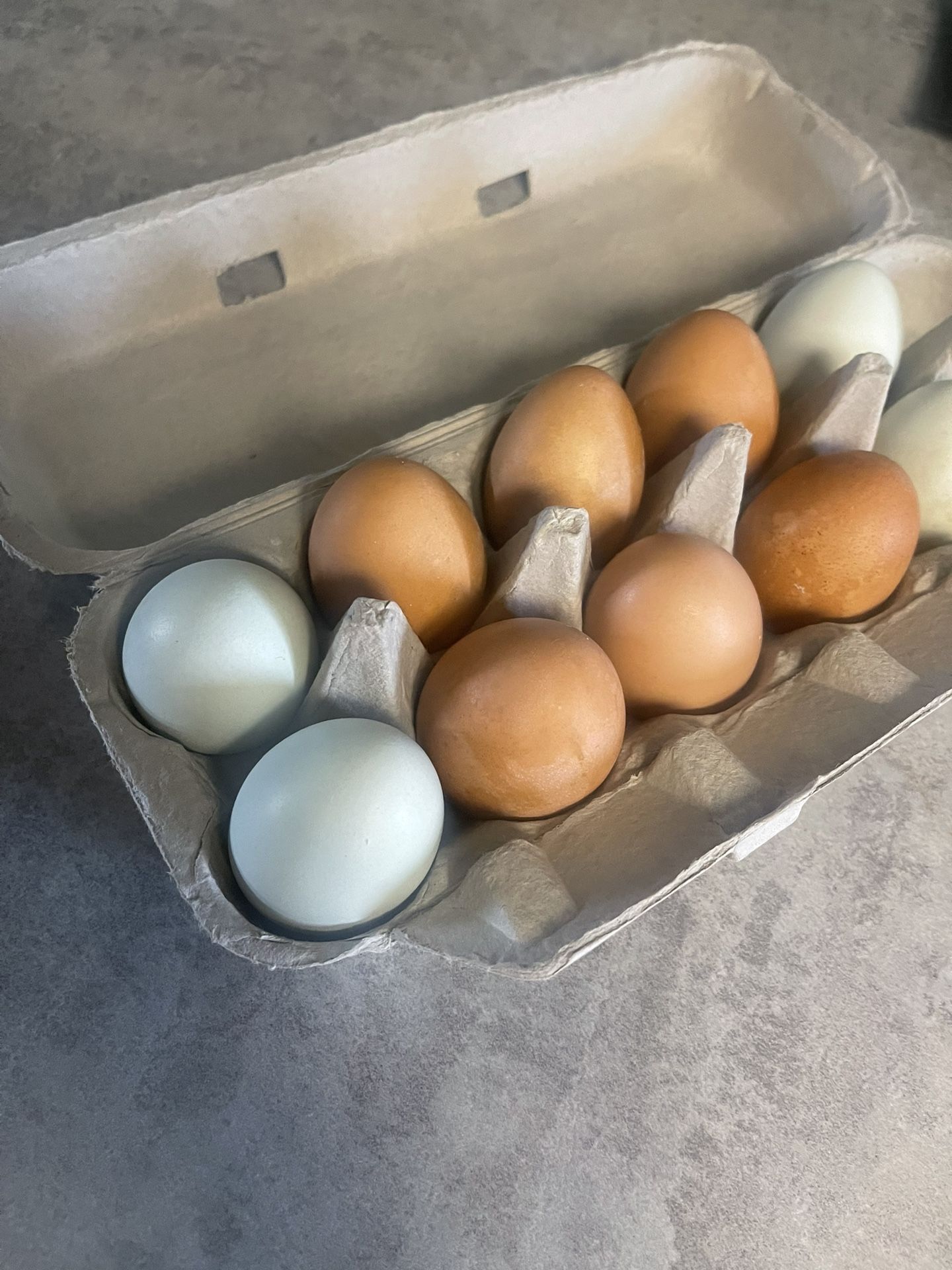Fresh Eggs