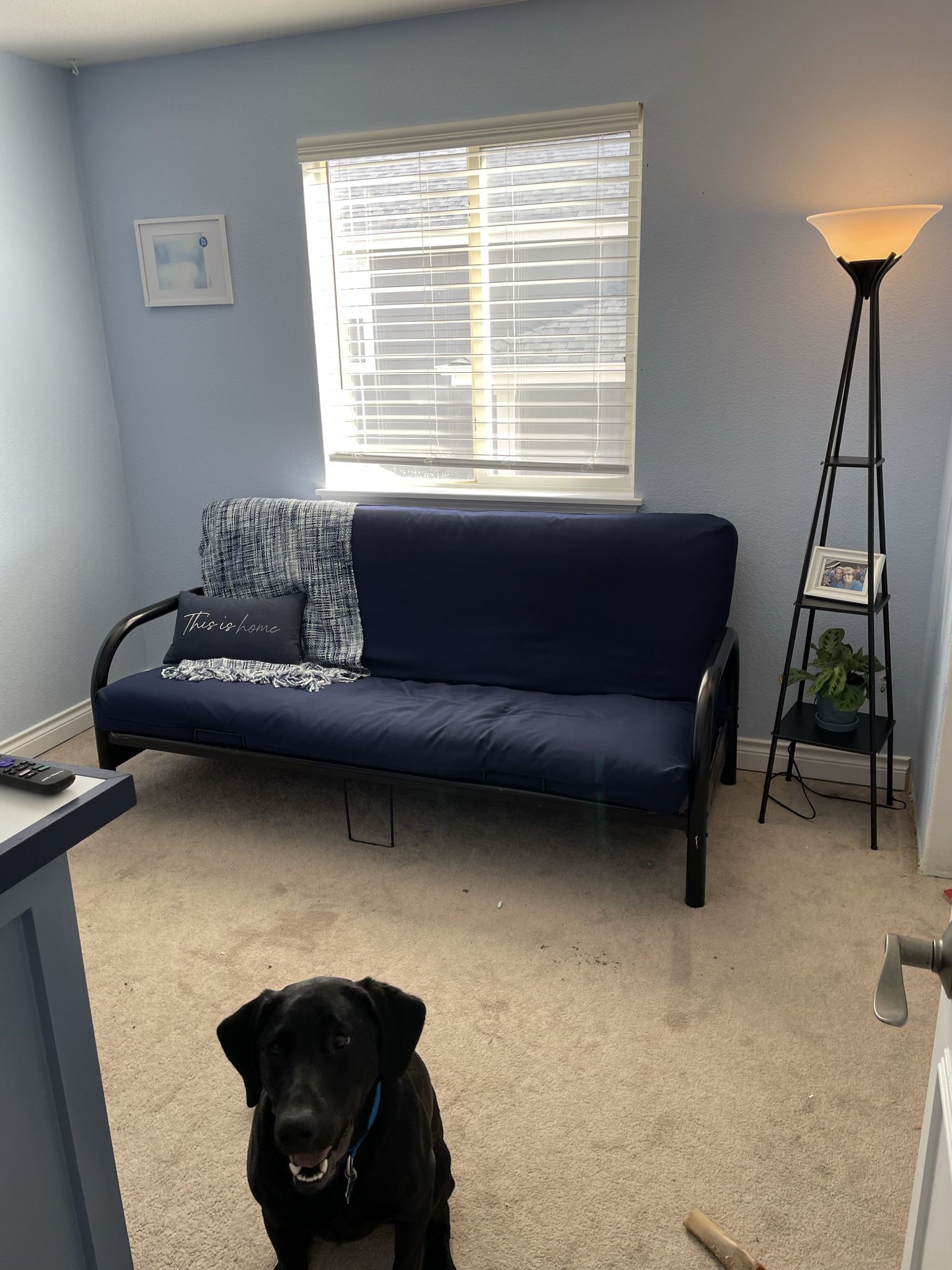 Full Size Futon
