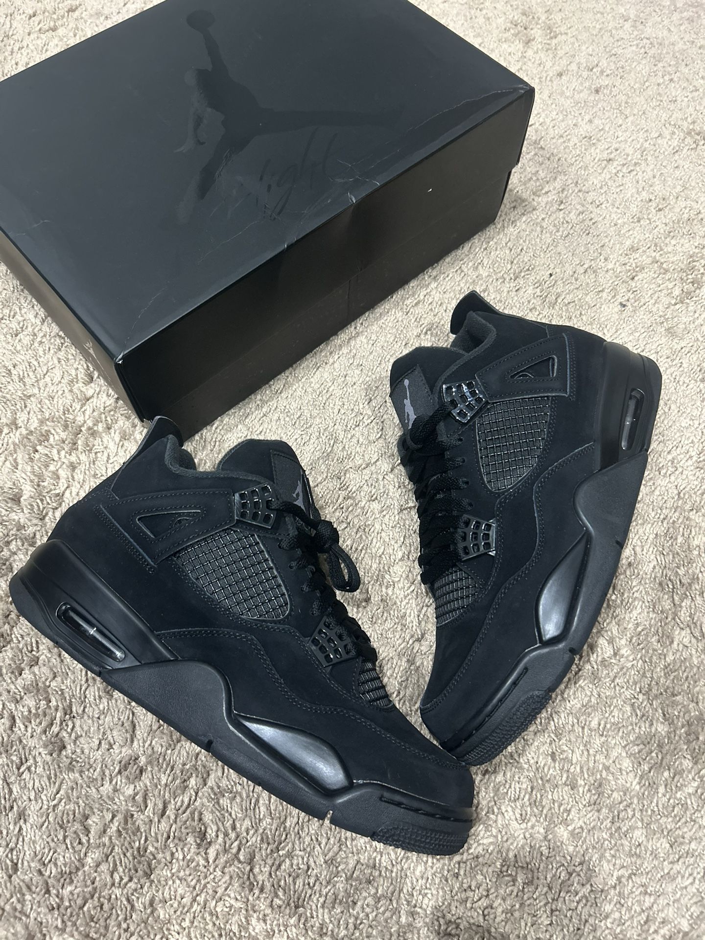 Jordan 4 Black Cats