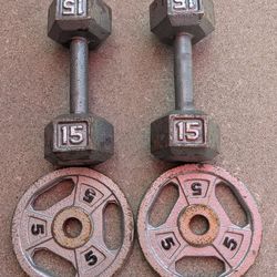 15lb dumbbells and 5lb weight plates