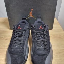 Nike Air Jordan 12 Low